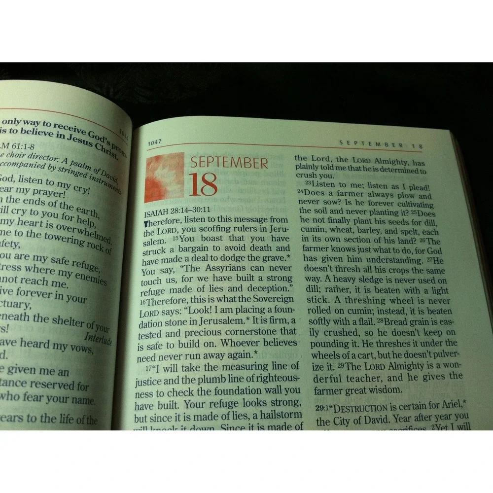 The One Year Bible For Women -‎ The New Living Translation